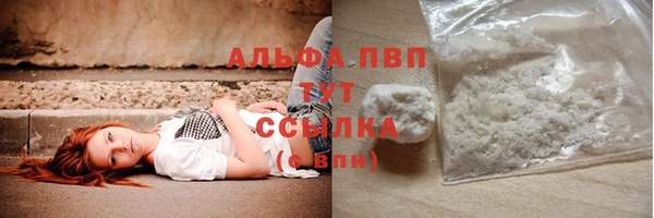 амф Арсеньев