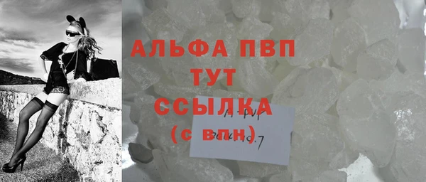 СК Алексин