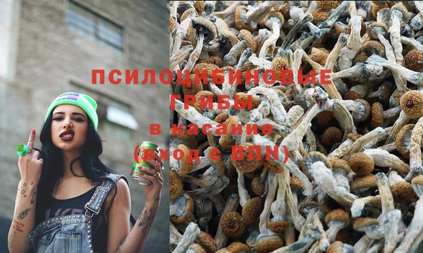 амф Арсеньев